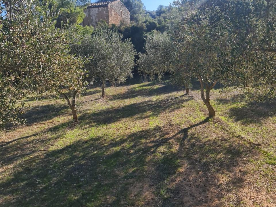 Landejendom i Asco, Tarragona - foto 2
